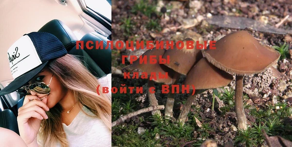 не бодяженный Володарск