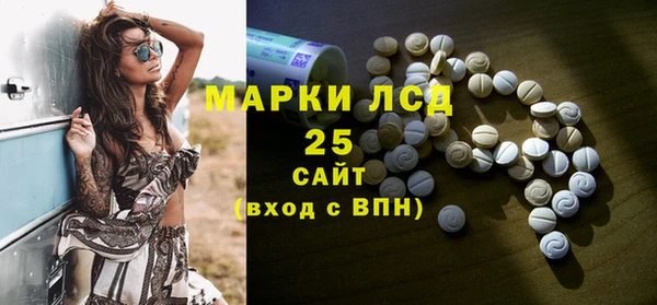 PSILOCYBIN Волосово