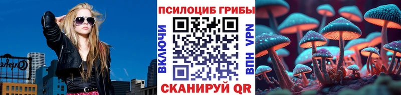 Купить закладки  Балашов  Галлюциногенные грибы MAGIC MUSHROOMS 