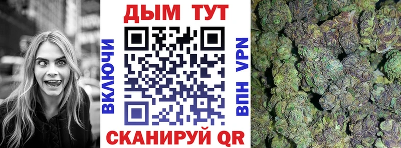 Шишки марихуана OG Kush  Купить закладки  Балашов 